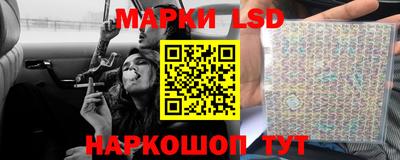 гидра Можга