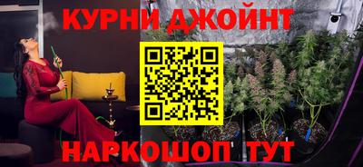 гидра Можга