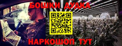 гидра Можга