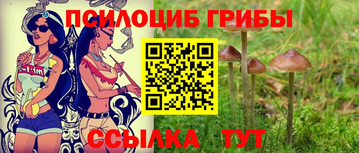 Галлюциногенные грибы Psilocybe  Вход с VPN  Псилоцибиновые грибы Cubensis  Среднеуральск 