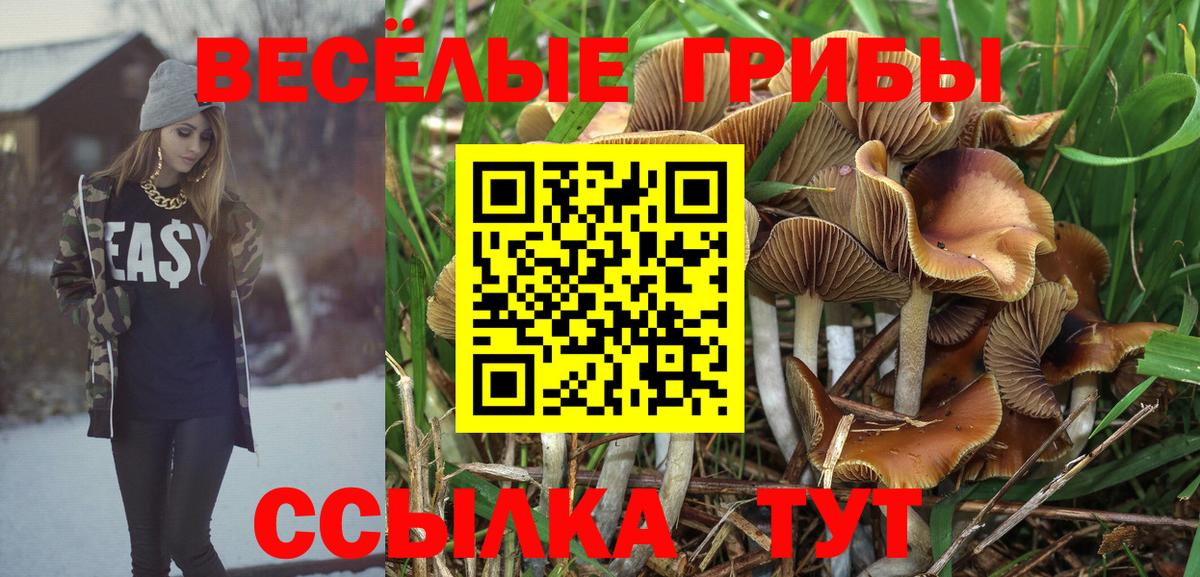 ТГК  Каннабис  Вход с VPN  ГАШ  Среднеуральск  МЕФ кристаллы 